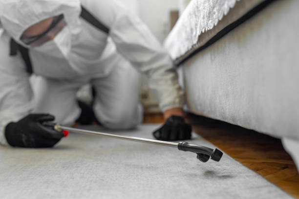 Professional Cockroach Control technician working in Calhoun County County, AR